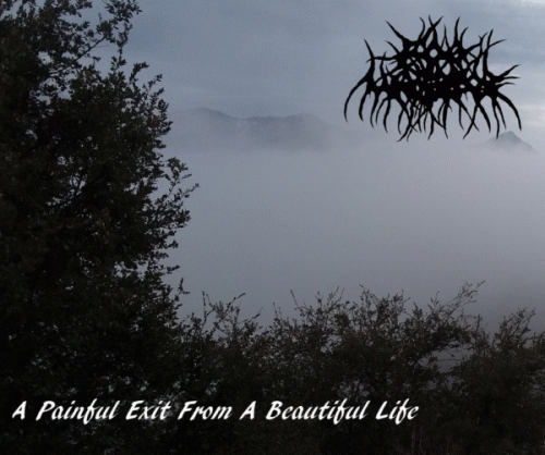 Fog Warrior : A Painful Exit from a Beautiful Life